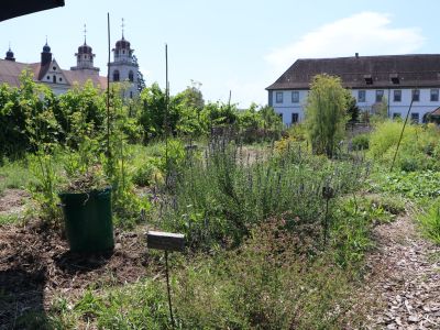 Fintan Sozial - Naturnaher Garten