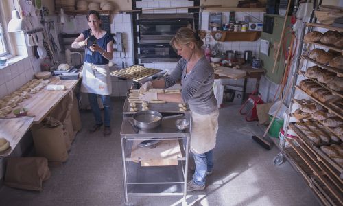 Sommerakademie Rheinau