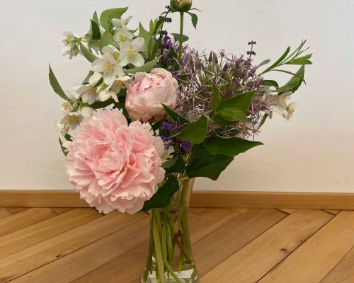  Fintan Sozial -  Floristik