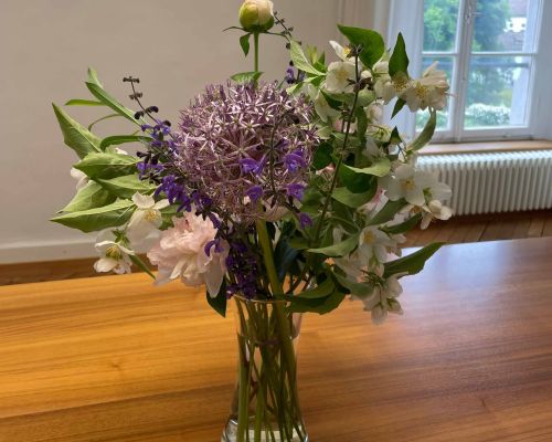  Fintan Sozial -  Floristik