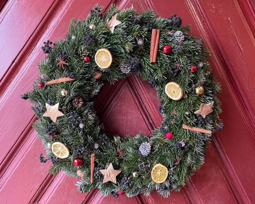  Fintan Sozial -  Floristik