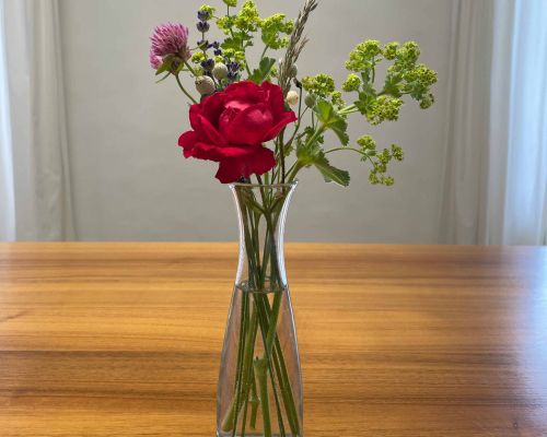  Fintan Sozial -  Floristik