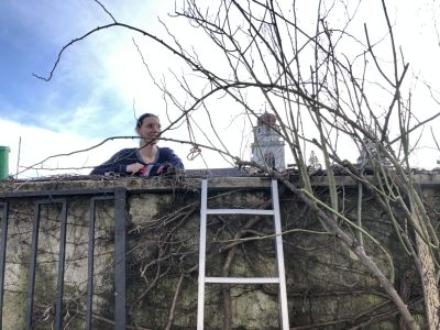  Fintan Sozial - Naturnaher Garten 