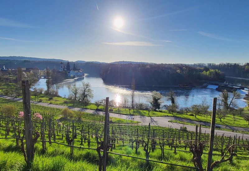  Fintan Sozial -  Rebbau & Waldgarten 