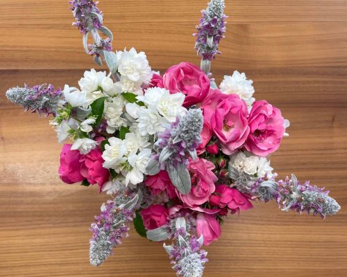  Fintan Sozial -  Floristik